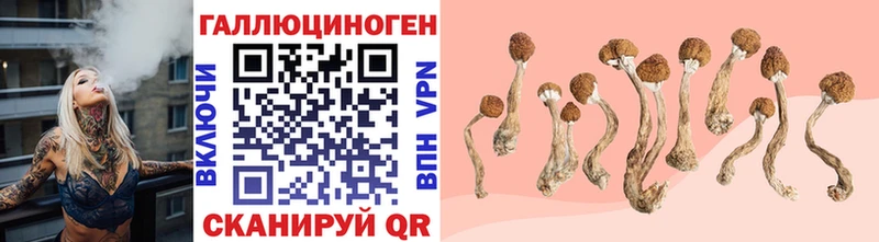 Галлюциногенные грибы ЛСД  Купить где  Белореченск 